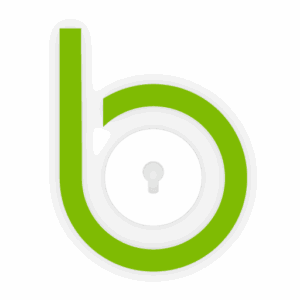 Blackpoint logo